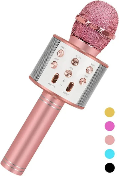Kids Microphone