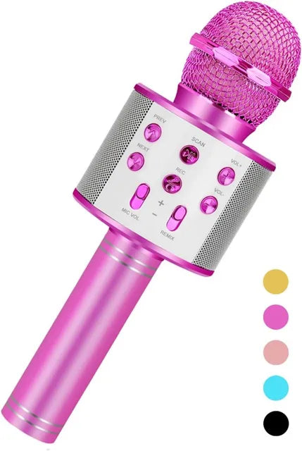 Kids Microphone